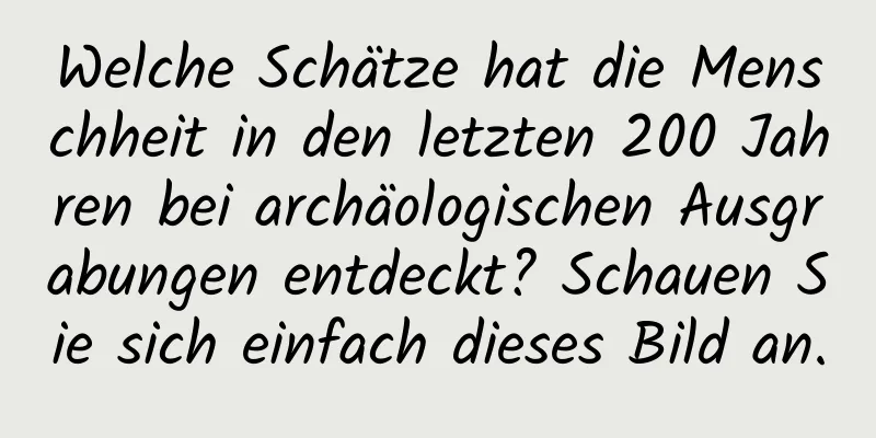 Welche Schätze hat die Menschheit in den letzten 200 Jahren bei archäologischen Ausgrabungen entdeckt? Schauen Sie sich einfach dieses Bild an.