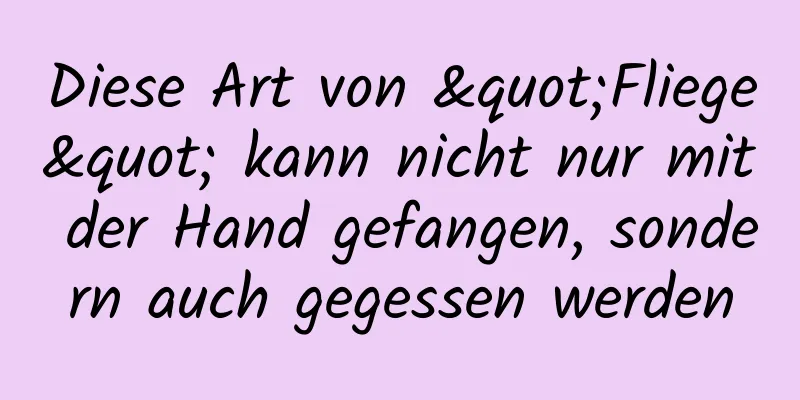 Diese Art von "Fliege" kann nicht nur mit der Hand gefangen, sondern auch gegessen werden