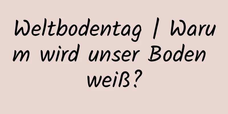 Weltbodentag | Warum wird unser Boden weiß?