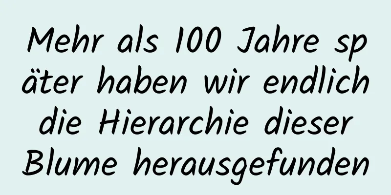 Mehr als 100 Jahre später haben wir endlich die Hierarchie dieser Blume herausgefunden