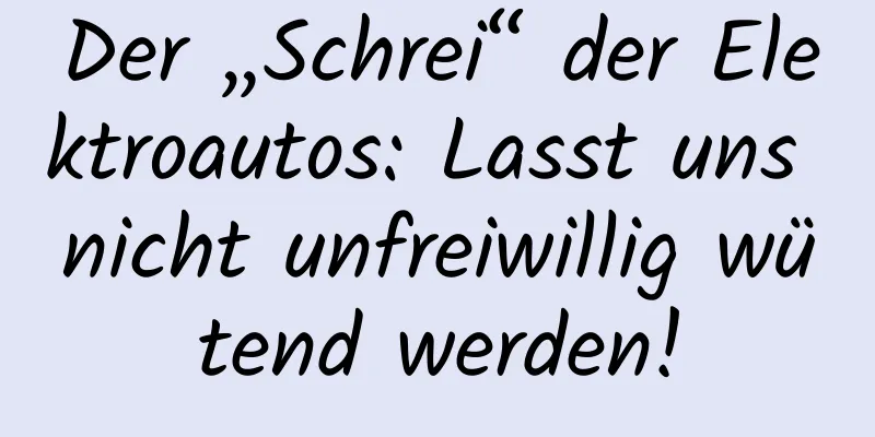 Der „Schrei“ der Elektroautos: Lasst uns nicht unfreiwillig wütend werden!