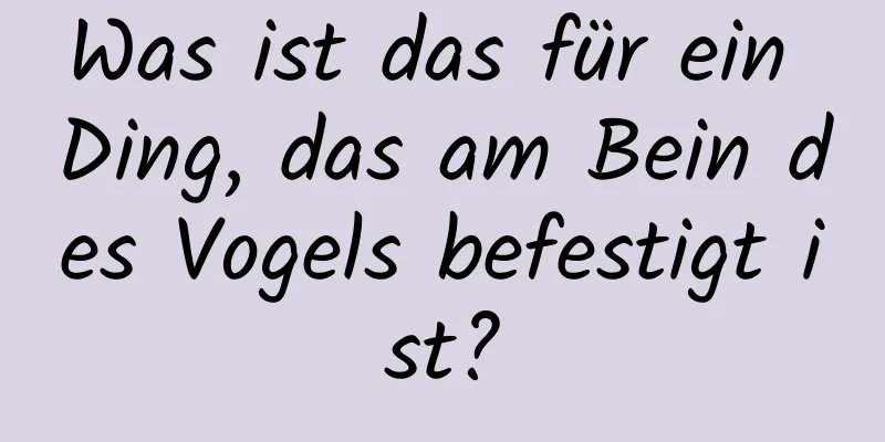 Was ist das für ein Ding, das am Bein des Vogels befestigt ist?