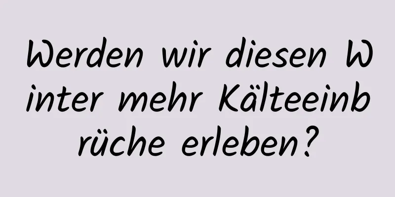 Werden wir diesen Winter mehr Kälteeinbrüche erleben?