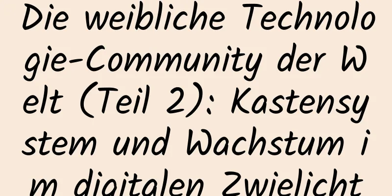 Die weibliche Technologie-Community der Welt (Teil 2): ​​Kastensystem und Wachstum im digitalen Zwielicht