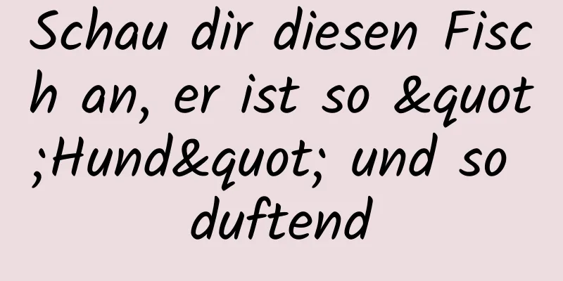 Schau dir diesen Fisch an, er ist so "Hund" und so duftend
