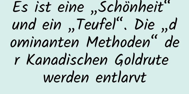 Es ist eine „Schönheit“ und ein „Teufel“. Die „dominanten Methoden“ der Kanadischen Goldrute werden entlarvt