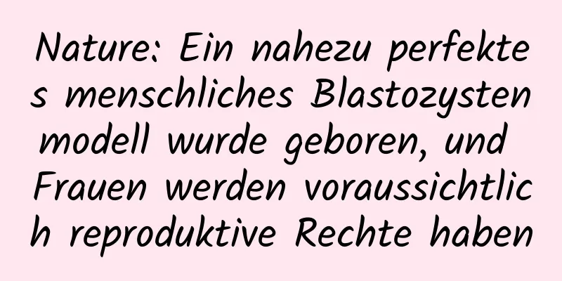 Nature: Ein nahezu perfektes menschliches Blastozystenmodell wurde geboren, und Frauen werden voraussichtlich reproduktive Rechte haben