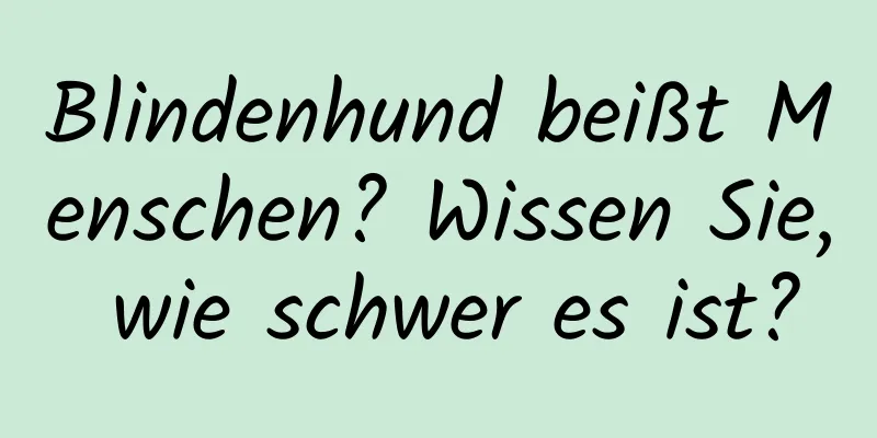 Blindenhund beißt Menschen? Wissen Sie, wie schwer es ist?
