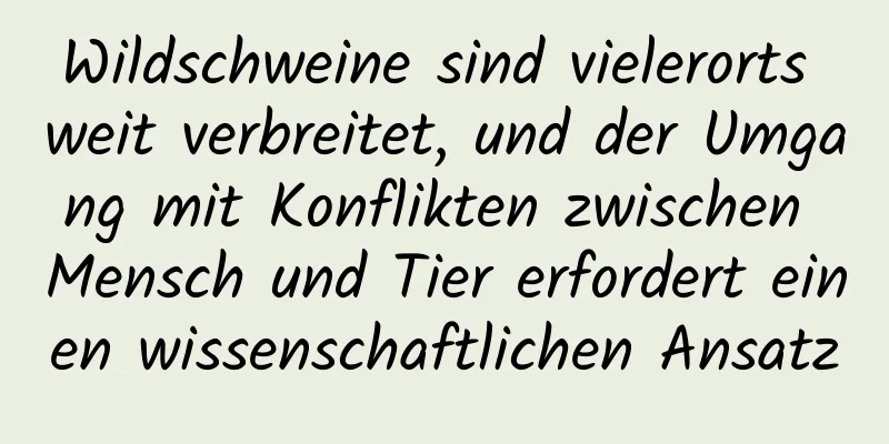 Wildschweine sind vielerorts weit verbreitet, und der Umgang mit Konflikten zwischen Mensch und Tier erfordert einen wissenschaftlichen Ansatz
