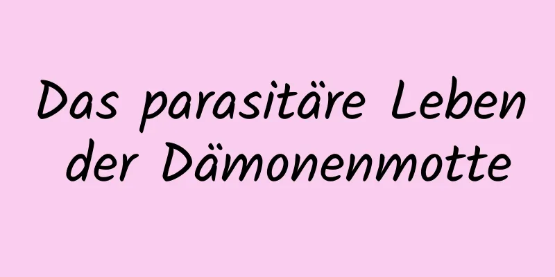 Das parasitäre Leben der Dämonenmotte