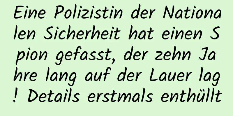 Eine Polizistin der Nationalen Sicherheit hat einen Spion gefasst, der zehn Jahre lang auf der Lauer lag! Details erstmals enthüllt