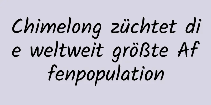 Chimelong züchtet die weltweit größte Affenpopulation
