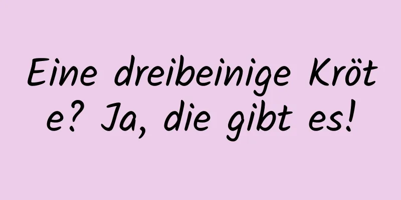 Eine dreibeinige Kröte? Ja, die gibt es!