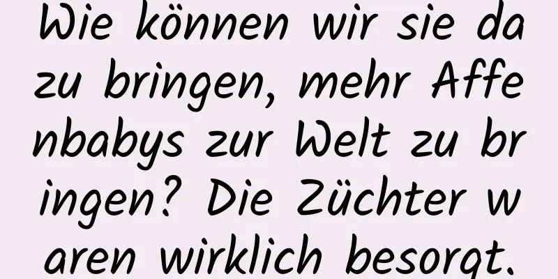 Wie können wir sie dazu bringen, mehr Affenbabys zur Welt zu bringen? Die Züchter waren wirklich besorgt.