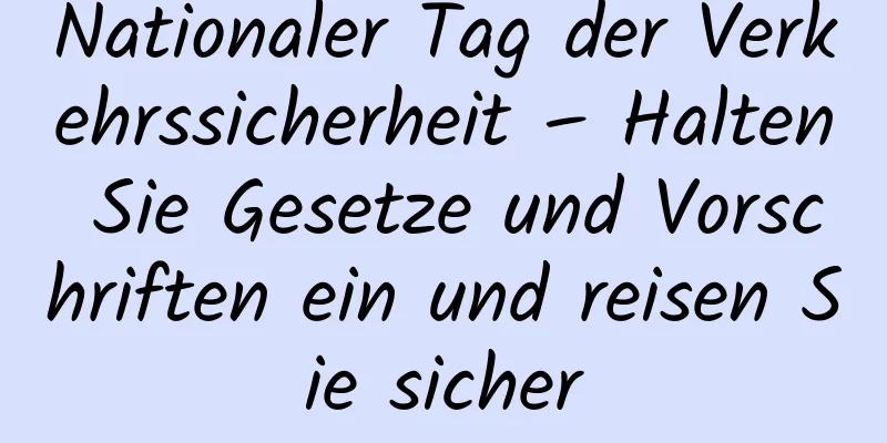 Nationaler Tag der Verkehrssicherheit – Halten Sie Gesetze und Vorschriften ein und reisen Sie sicher