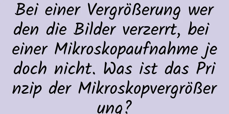 Bei einer Vergrößerung werden die Bilder verzerrt, bei einer Mikroskopaufnahme jedoch nicht. Was ist das Prinzip der Mikroskopvergrößerung?