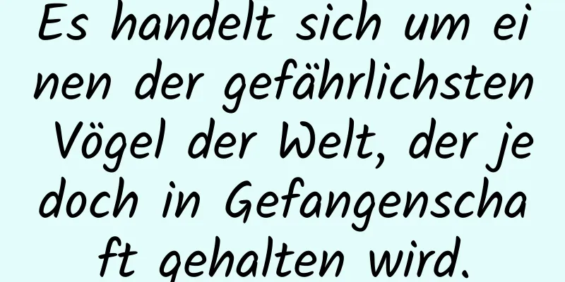 Es handelt sich um einen der gefährlichsten Vögel der Welt, der jedoch in Gefangenschaft gehalten wird.