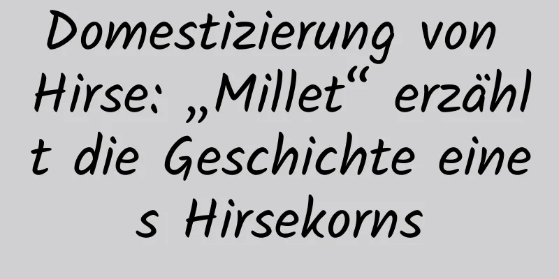 Domestizierung von Hirse: „Millet“ erzählt die Geschichte eines Hirsekorns