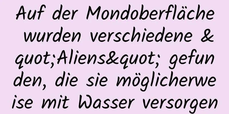 Auf der Mondoberfläche wurden verschiedene "Aliens" gefunden, die sie möglicherweise mit Wasser versorgen