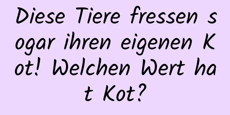 Diese Tiere fressen sogar ihren eigenen Kot! Welchen Wert hat Kot?