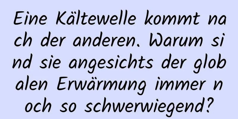 Eine Kältewelle kommt nach der anderen. Warum sind sie angesichts der globalen Erwärmung immer noch so schwerwiegend?