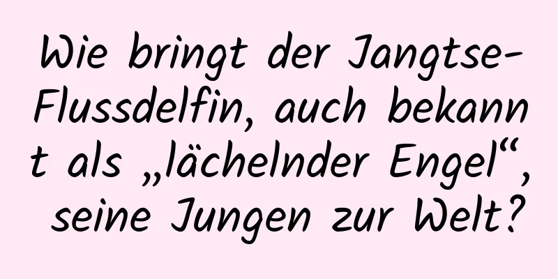 Wie bringt der Jangtse-Flussdelfin, auch bekannt als „lächelnder Engel“, seine Jungen zur Welt?