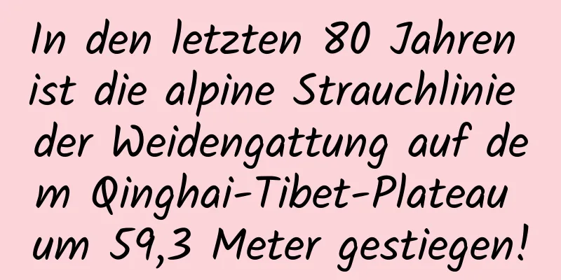 In den letzten 80 Jahren ist die alpine Strauchlinie der Weidengattung auf dem Qinghai-Tibet-Plateau um 59,3 Meter gestiegen!