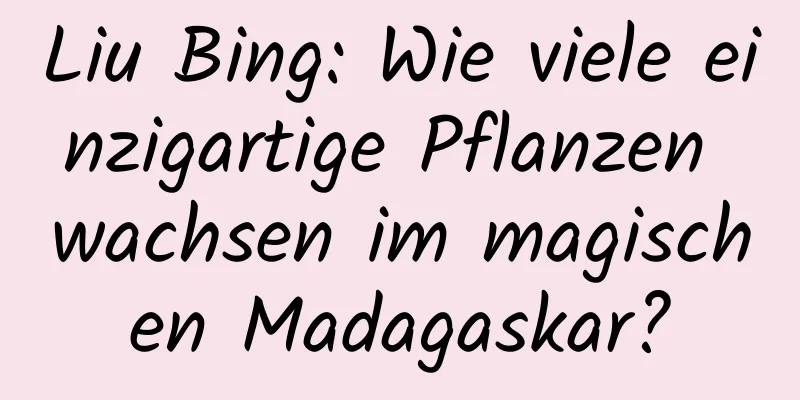 Liu Bing: Wie viele einzigartige Pflanzen wachsen im magischen Madagaskar?