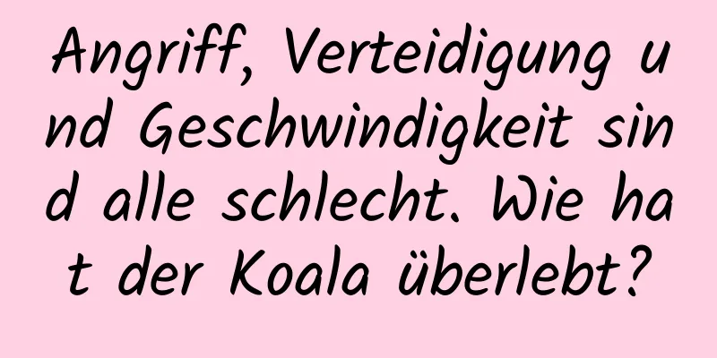 Angriff, Verteidigung und Geschwindigkeit sind alle schlecht. Wie hat der Koala überlebt?