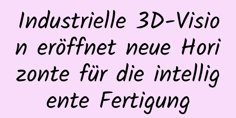 Industrielle 3D-Vision eröffnet neue Horizonte für die intelligente Fertigung