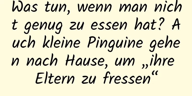 Was tun, wenn man nicht genug zu essen hat? Auch kleine Pinguine gehen nach Hause, um „ihre Eltern zu fressen“