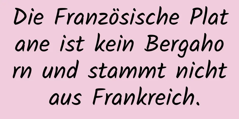 Die Französische Platane ist kein Bergahorn und stammt nicht aus Frankreich.