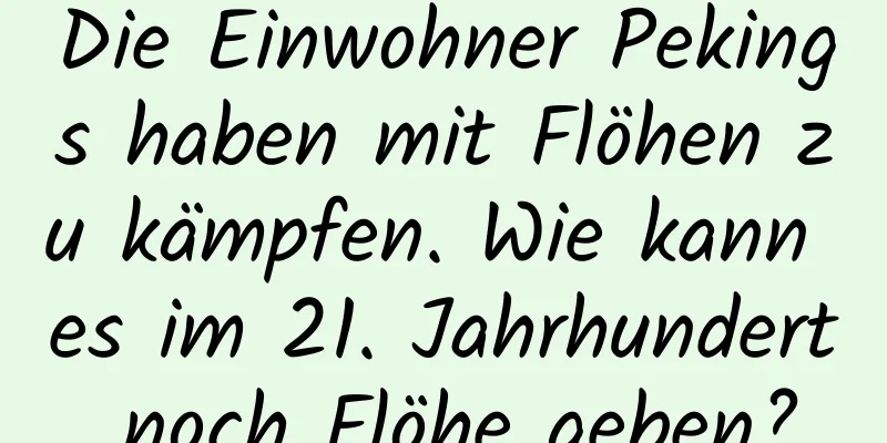 Die Einwohner Pekings haben mit Flöhen zu kämpfen. Wie kann es im 21. Jahrhundert noch Flöhe geben?