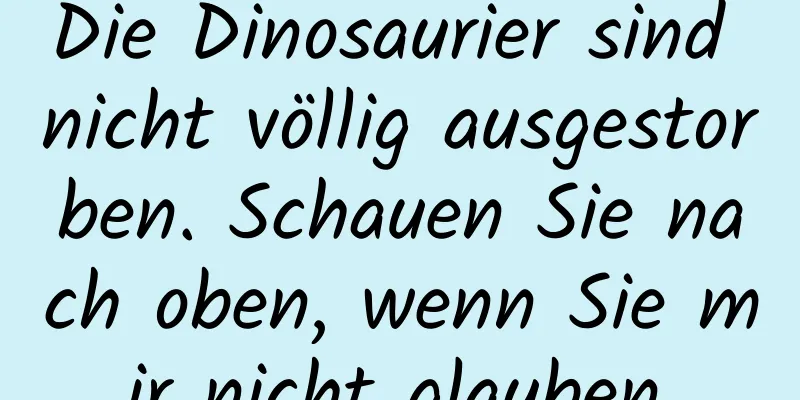 Die Dinosaurier sind nicht völlig ausgestorben. Schauen Sie nach oben, wenn Sie mir nicht glauben.