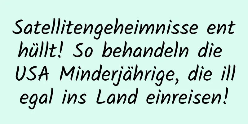 Satellitengeheimnisse enthüllt! So behandeln die USA Minderjährige, die illegal ins Land einreisen!