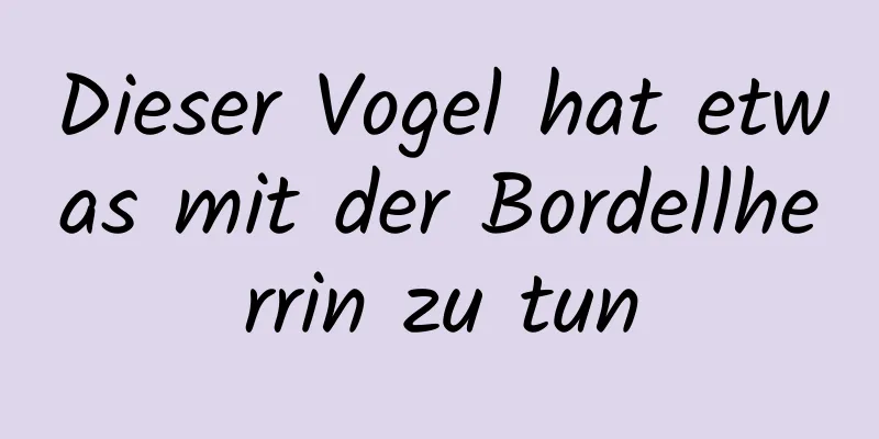 Dieser Vogel hat etwas mit der Bordellherrin zu tun