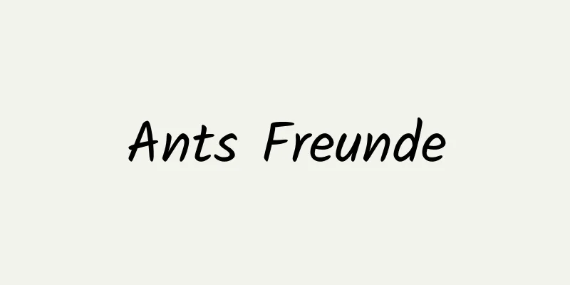 Ants Freunde