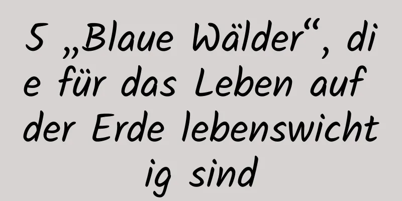 5 „Blaue Wälder“, die für das Leben auf der Erde lebenswichtig sind