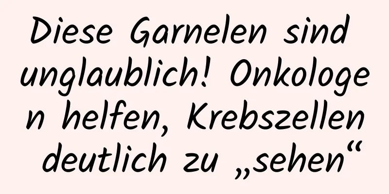 Diese Garnelen sind unglaublich! Onkologen helfen, Krebszellen deutlich zu „sehen“