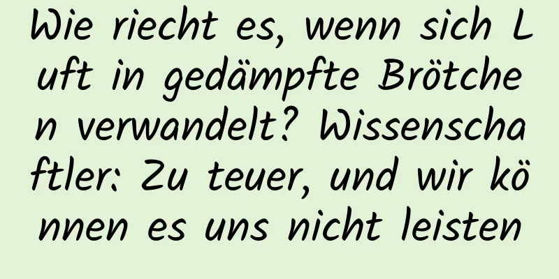 Wie riecht es, wenn sich Luft in gedämpfte Brötchen verwandelt? Wissenschaftler: Zu teuer, und wir können es uns nicht leisten