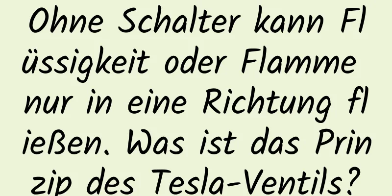 Ohne Schalter kann Flüssigkeit oder Flamme nur in eine Richtung fließen. Was ist das Prinzip des Tesla-Ventils?