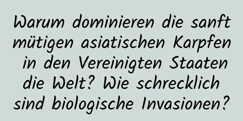 Warum dominieren die sanftmütigen asiatischen Karpfen in den Vereinigten Staaten die Welt? Wie schrecklich sind biologische Invasionen?