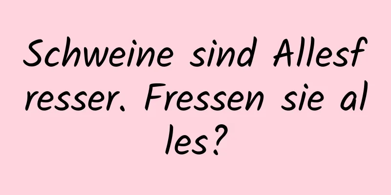 Schweine sind Allesfresser. Fressen sie alles?