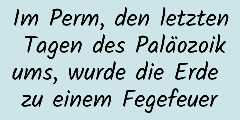 Im Perm, den letzten Tagen des Paläozoikums, wurde die Erde zu einem Fegefeuer