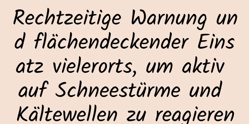 Rechtzeitige Warnung und flächendeckender Einsatz vielerorts, um aktiv auf Schneestürme und Kältewellen zu reagieren