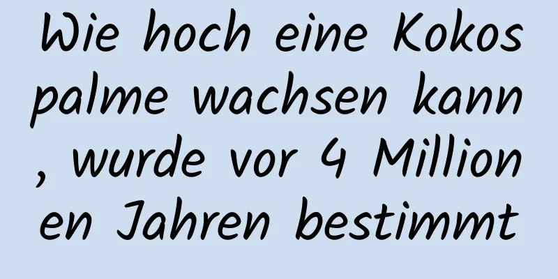 Wie hoch eine Kokospalme wachsen kann, wurde vor 4 Millionen Jahren bestimmt