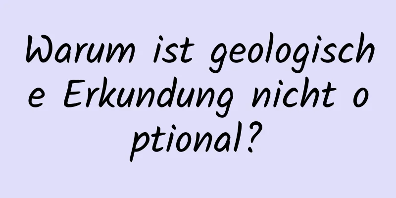 Warum ist geologische Erkundung nicht optional?