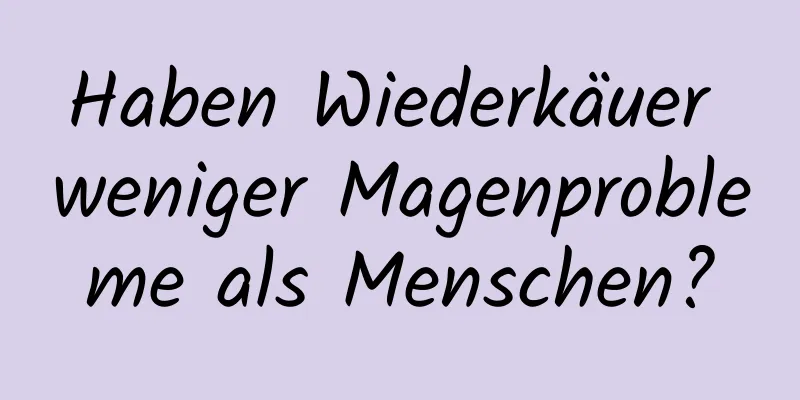 Haben Wiederkäuer weniger Magenprobleme als Menschen?