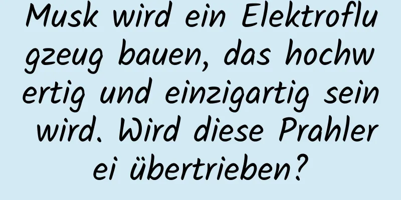 Musk wird ein Elektroflugzeug bauen, das hochwertig und einzigartig sein wird. Wird diese Prahlerei übertrieben?