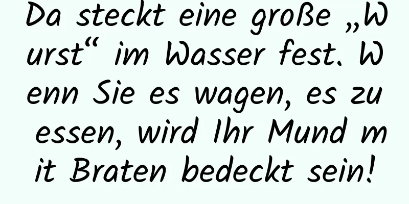 Da steckt eine große „Wurst“ im Wasser fest. Wenn Sie es wagen, es zu essen, wird Ihr Mund mit Braten bedeckt sein!